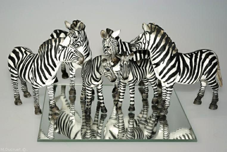 troupeau de zèbres, zebras, photo michel ducruet, 2010