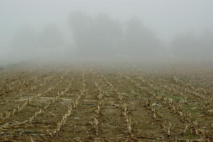 brouillards de septembre. photo michel ducruet.