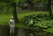 Rotterdam, sculpture in a canal, photo michel Ducruet