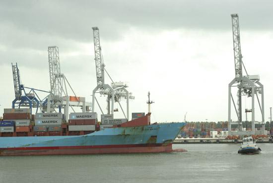 Rotterdam, containers, photo michel Ducruet