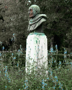 le pote de Romorantin et les fleurs bleues. photo michel ducruet.