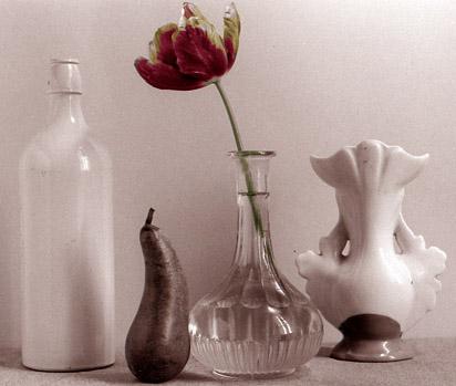 poire avec vases et tulipe. tirage color