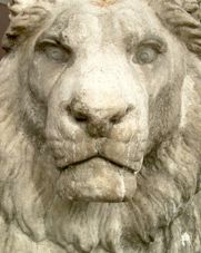 lion de pierre. photo michel ducruet