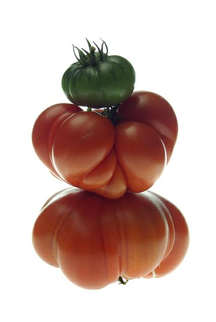 tomates, tomatoes, photo michel ducruet