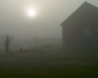 matin dans la brume