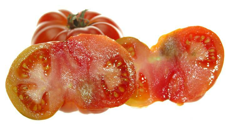 tomates marmande, photo michel ducruet 2008
